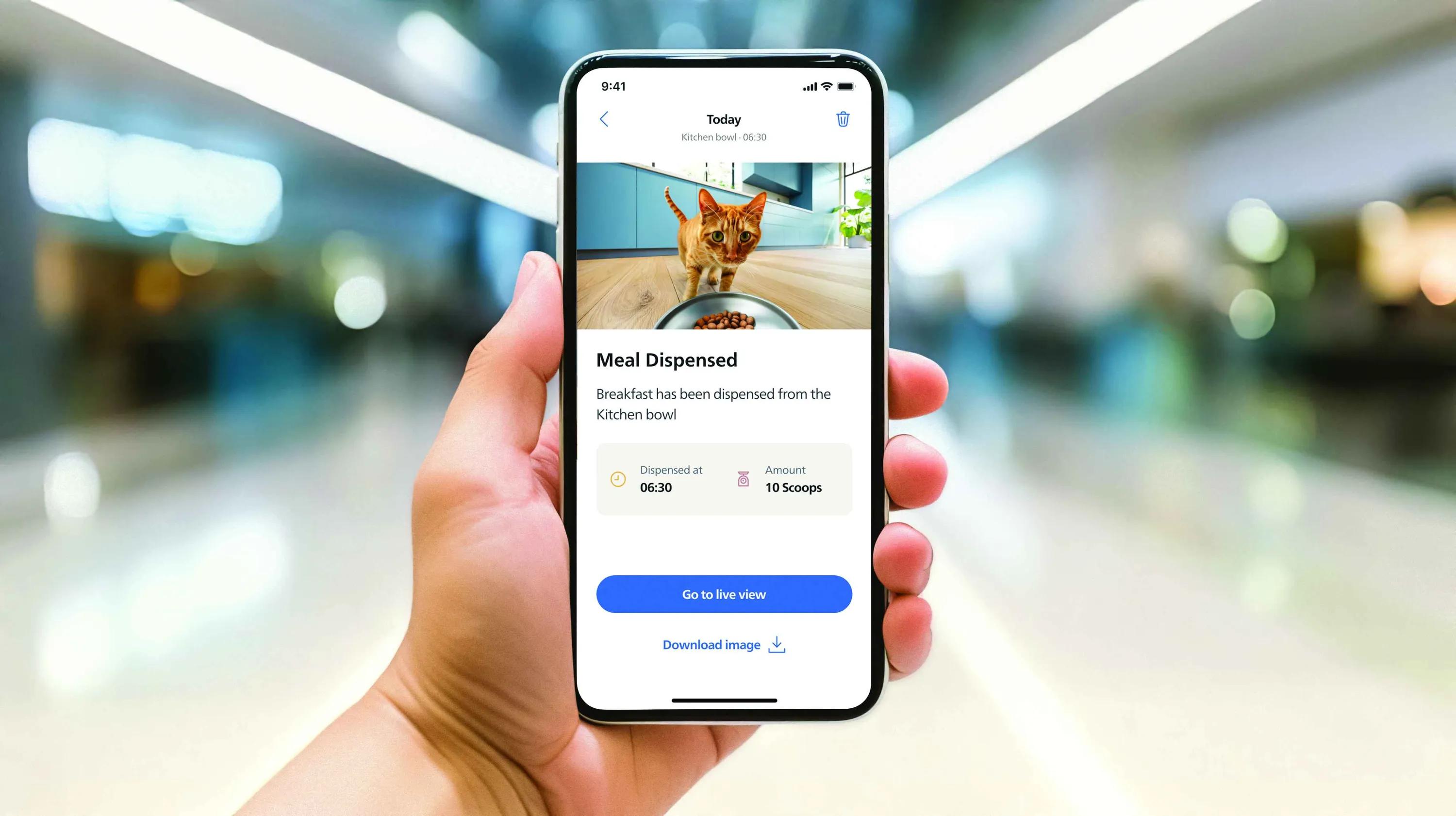 Mobiltelefon som visar Philips Pet Care smart feeder-app. Meddelar frukost serverad, 10 skopor kl 06:30, med bild av orange katt. Inkluderar livevisning.