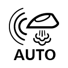 Auto Steam