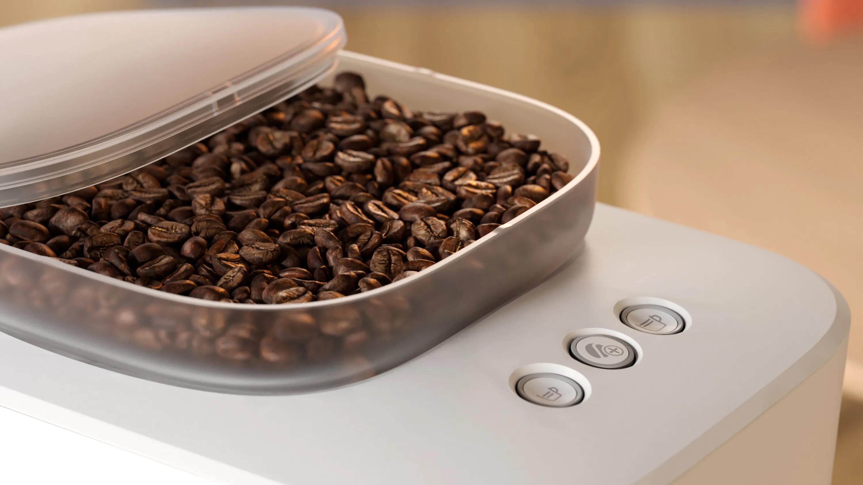 Fresh beans are best. 