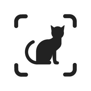 NBX motion icon