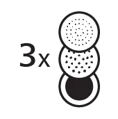 3 brushes