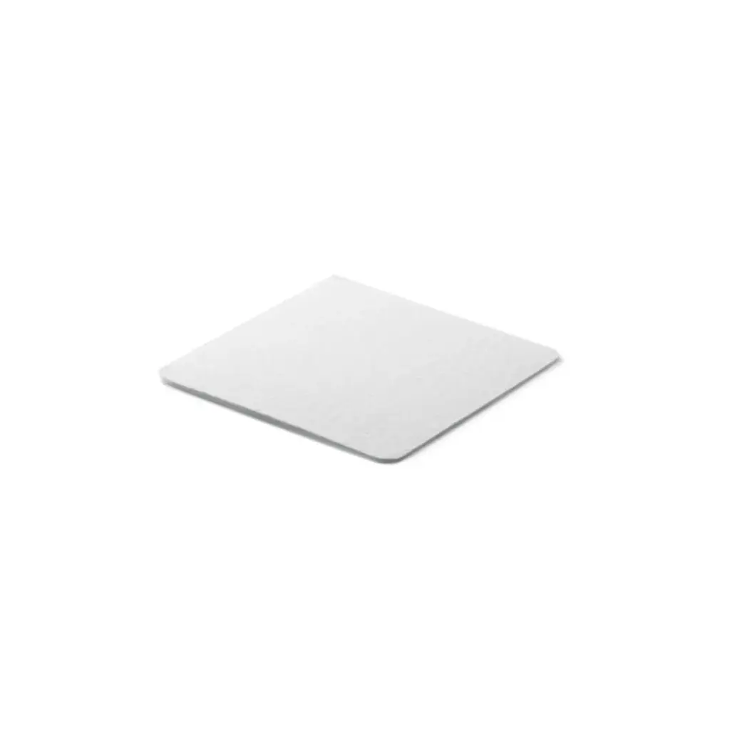 Standard Product Photo Philips PowerLife Motor protection filter CP0137 Standard Product Photo Philips PowerLife Motor protection filter CP0137