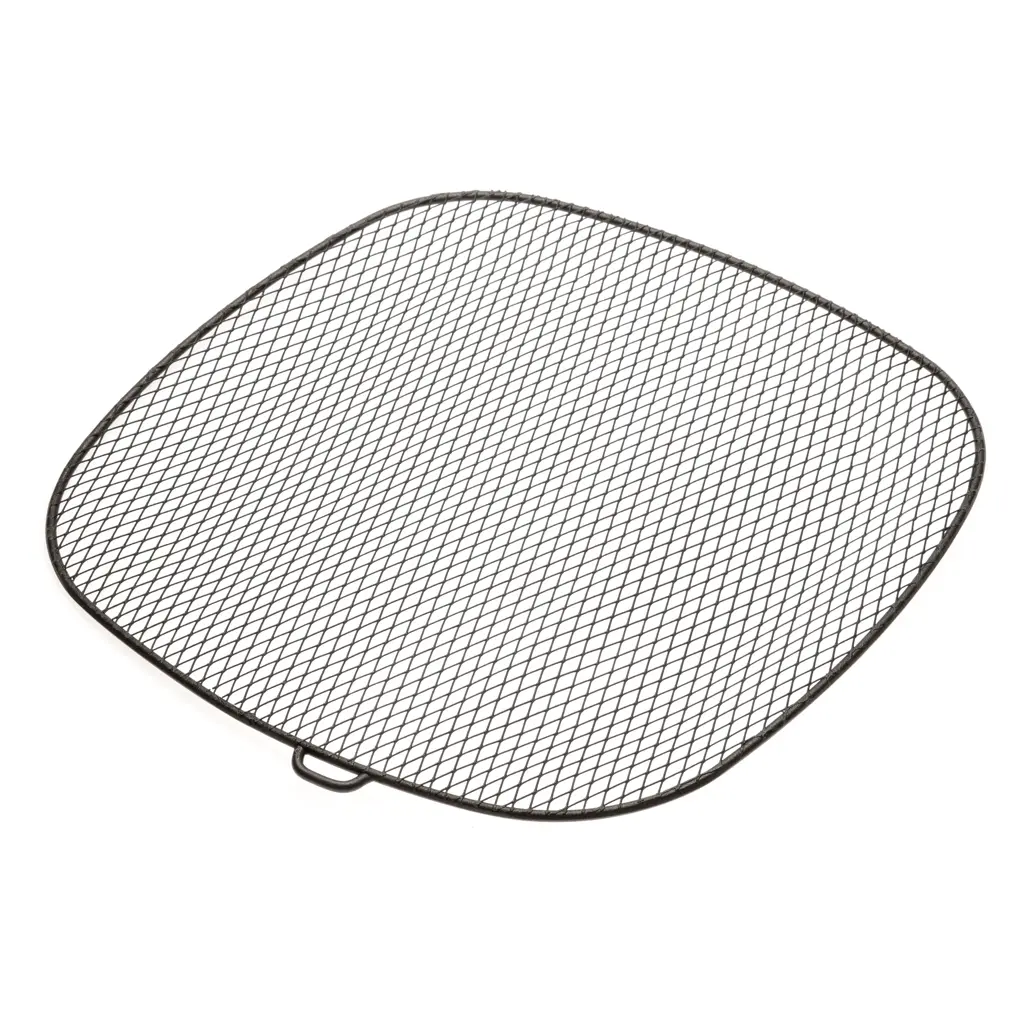 Standard Product Photo Philips Premium XXL Bottom mesh CP0625