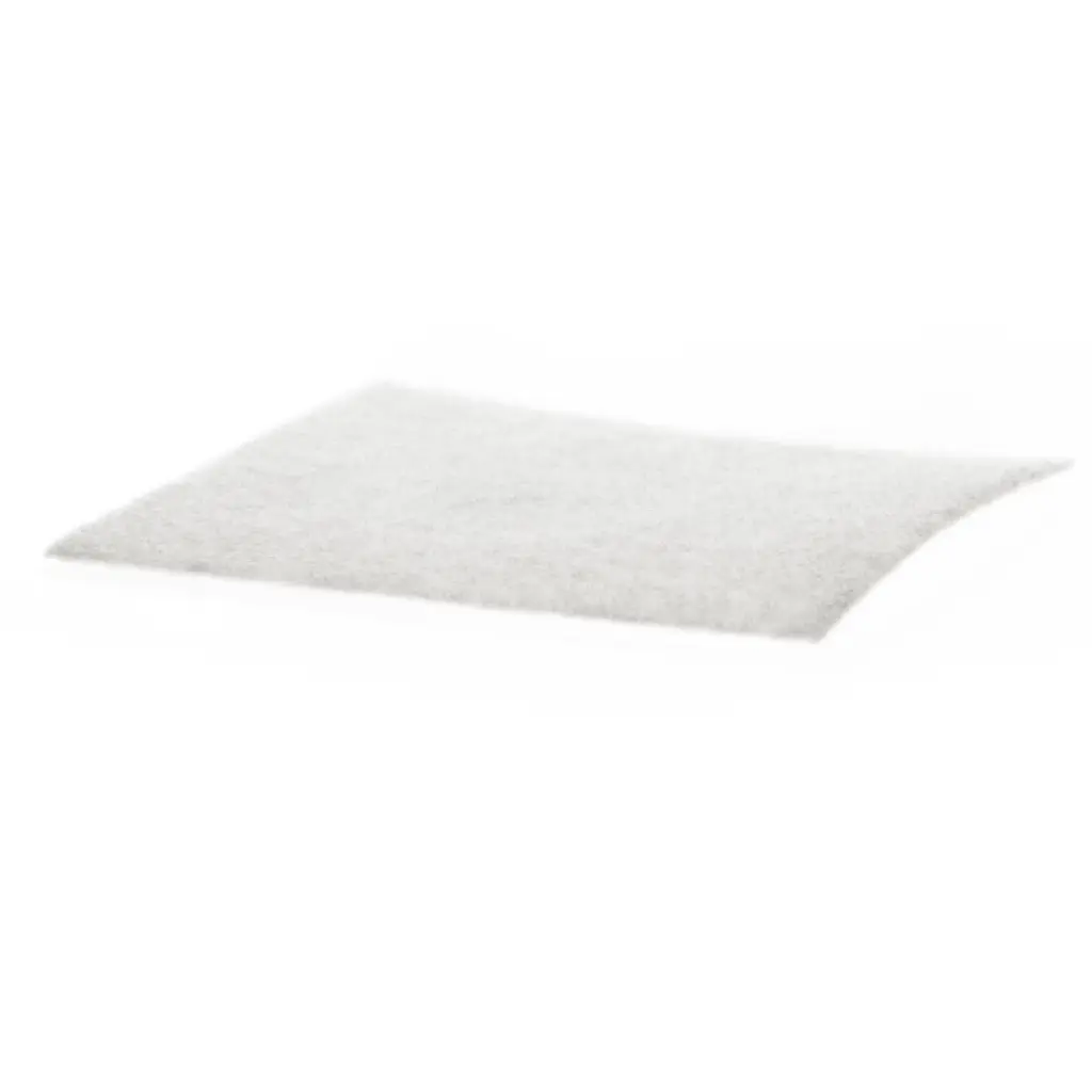 Standard Product Photo Philips Inlet filter CP0537