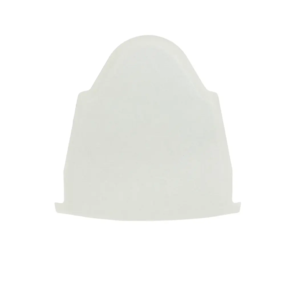 Standard Product Photo Philips Dustbag CRP439