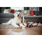 FC8243 09 PowerGO Cat and Dog.jpg