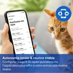 PET_2026_PAW53200_PNG_France_Autonomie Totale & Routine stable PET_2026_PAW53200_PNG_France_Autonomie Totale & Routine stable