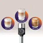 CO_2025_BAR400_60_Froth Selector_1x1