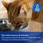 PET_2026_PAW3210_PNG_France_ Des chats heureux