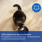 PET_2026_PAW3210_PNG_France_ Taille idéale