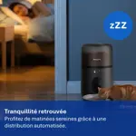 PET_2026_PAW53200_PNG_France_Tranquillité retrouvée PET_2026_PAW53200_PNG_France_Tranquillité retrouvée