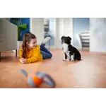 Canister Child Dog Lifestyle End Benefit