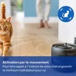 PET_2026_PAW3210_PNG_France_ Activation par le mouvement