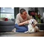 Emotional Benefit Photo Philips EasyPro Expert Bagless vacuum cleaner