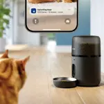 PET_26_PAW3300_meal_notification_1-1 PET_26_PAW3300_meal_notification_1-1