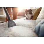 Product Detail Photograph Philips 2000 Series Bagless vacuum cleaner
