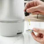 CC_2024_FY5100_00_Aromatherapy function_1x1.tif