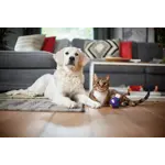Emotional Benefit Photo Philips PowerPro Active Bagless vacuum cleaner