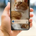 Pet Series Smart Feeder with Camera PAW5320_02 Dark Grey Product In Use Photo (PPL) notification_motion 1X1