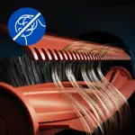 FC_2024_XU5XXX_F20_Anti tangle_1x1_icon_English (United States) = global