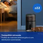 PET_2026_PAW3300_PNG_France_Tranquillité retrouvée PET_2026_PAW3300_PNG_France_Tranquillité retrouvée