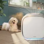 CC_2025_AC3360_11_Pet odor removal_1x1