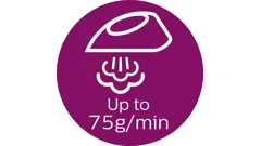 Continuous steam up to 75&nbsp;g/min