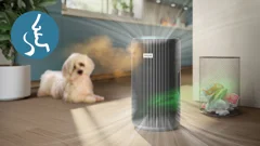 Vangt geurtjes en gassen op