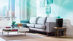 Fuktig luft, jämnt fördelad