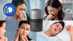 Bekämpfung Symptome trockener Luft