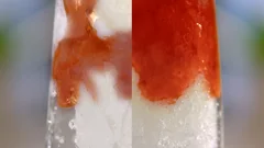 Système ProBlend