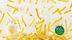 Airfryer Experten seit über 10&nbsp;Jahren