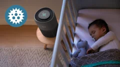 Captures viruses from the air