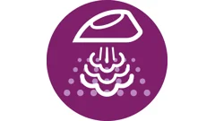 Deep Ionic Steam