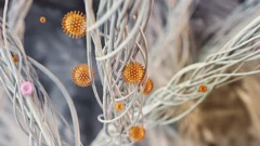 Up to 99.9% virus removal