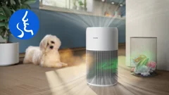 Captures smells and gases
