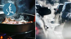 Traps smells and gases