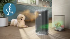 Traps smells and gases