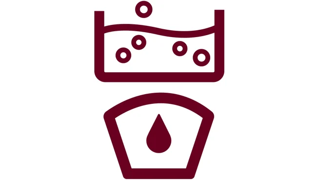 Boil and Brew