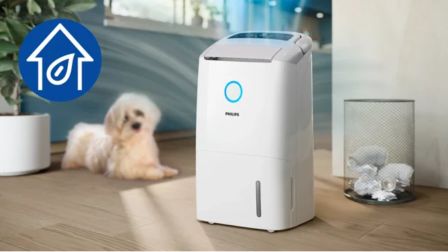 Modul Doar purificator