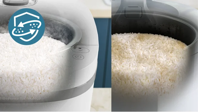 Fluffy rice up to 48 Hours