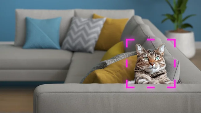 IDC AI Detection