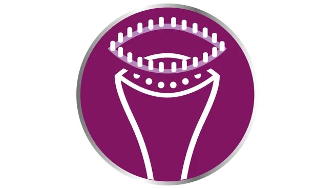 Brush accessory