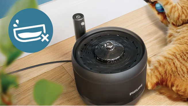 Reptålig design med antispillskål