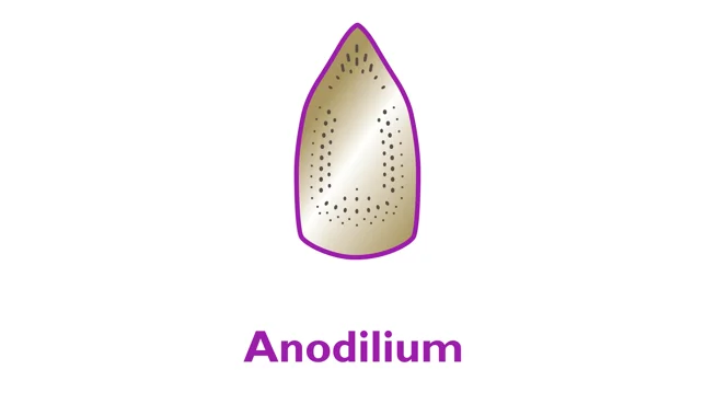 Anodilium soleplate