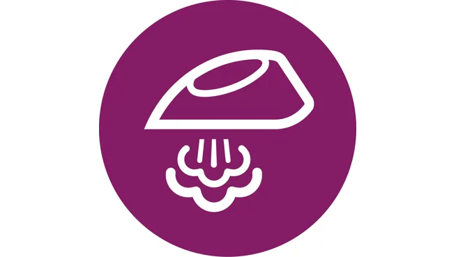 Debit de abur continuu de max 25 g/min.