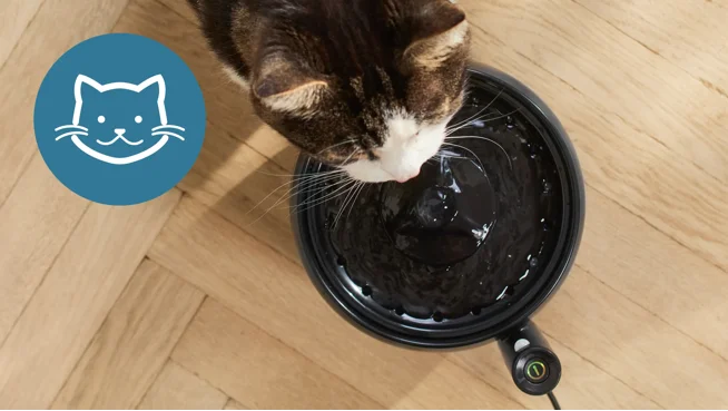 Morrhårsvänlig, purr-fekt passform