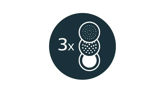 Trois têtes de brosse