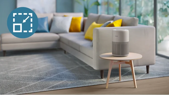 Compact size and sleek design