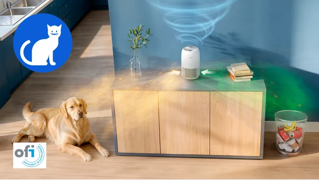 Fresh air for homes with pets
